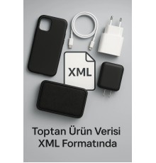 1 YILLIK ONLİNE ÇIKTI HİZMETİ/XML